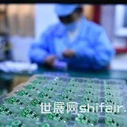 中国首颗500+比特超导量子计算芯片来了
